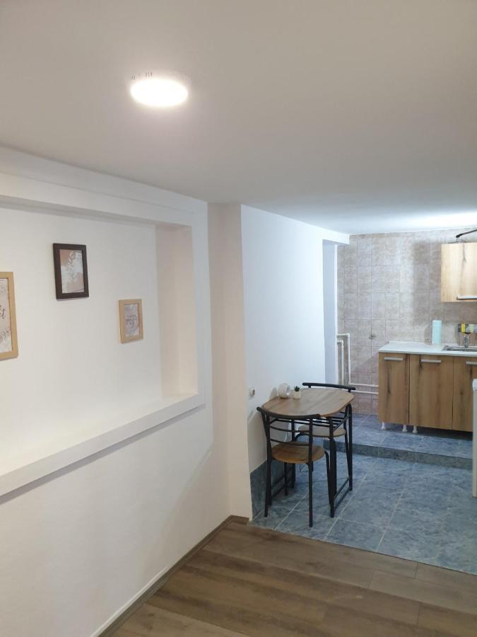 Fenix Apartman II Zaječar Exteriör bild