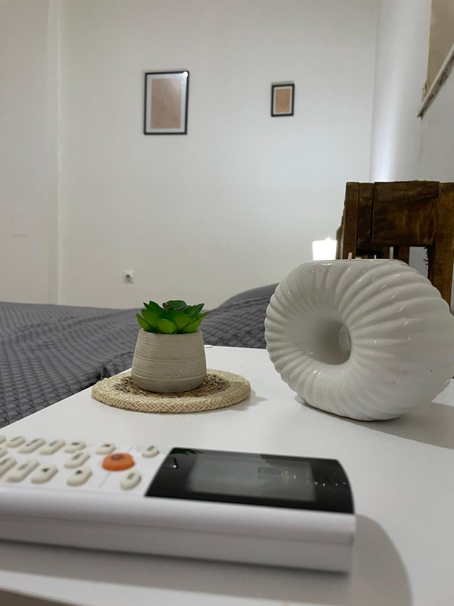Fenix Apartman II Zaječar Exteriör bild