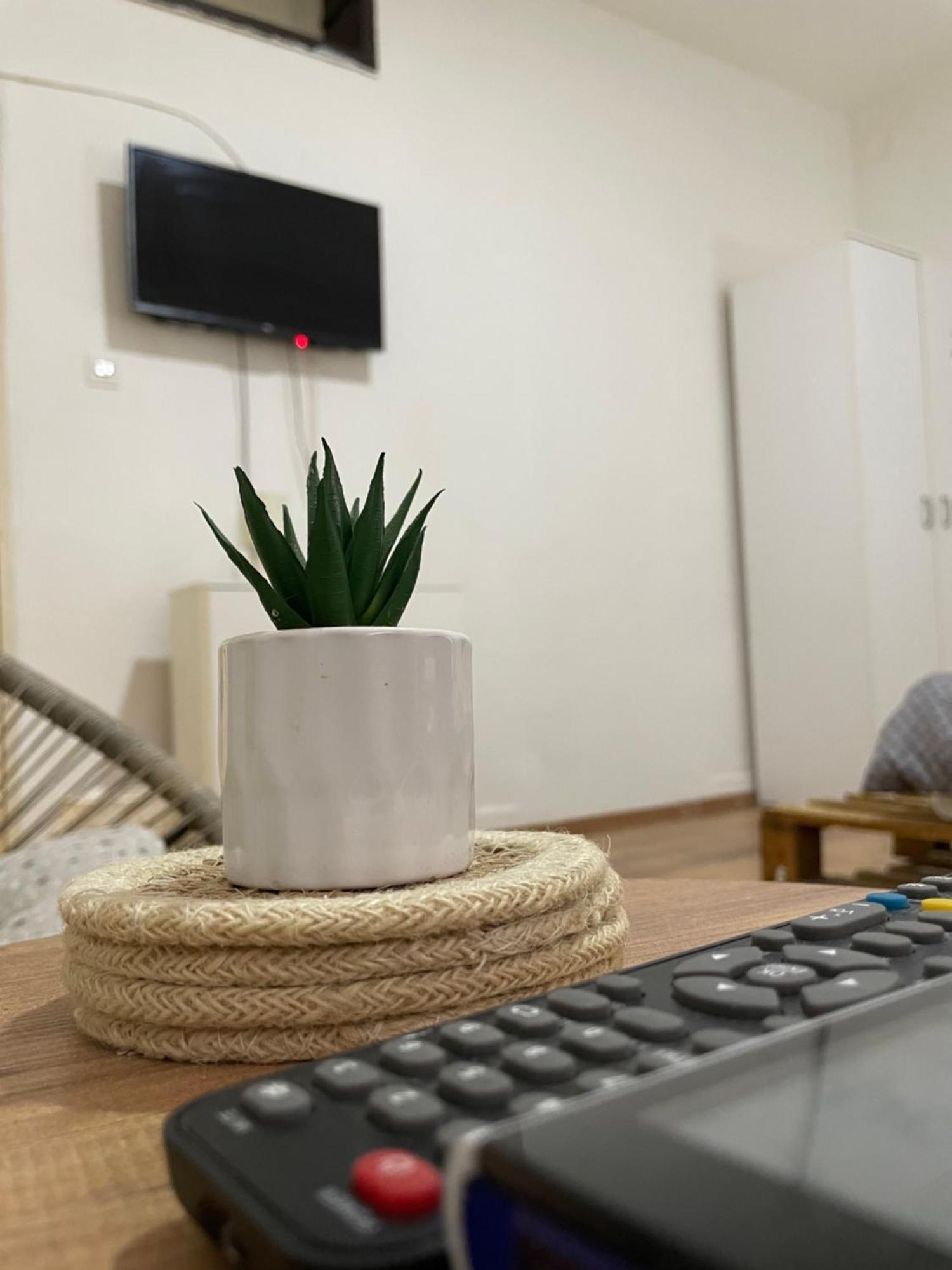 Fenix Apartman II Zaječar Exteriör bild
